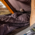 Capture d’écran 2026-01-31 à 20.28.11